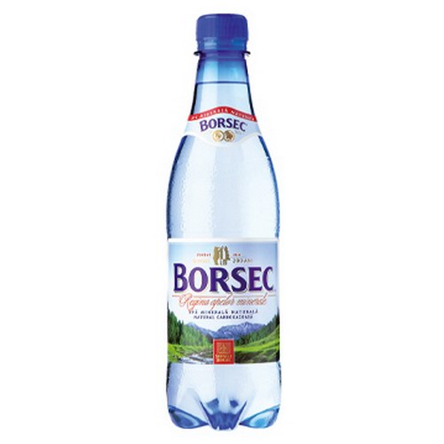 APA MINERALA CARBOGAZOASA WODA GAZ 0,5L*12 BORSEC